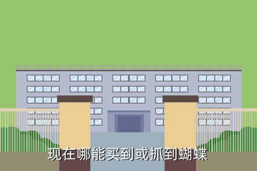 现在哪能买到或抓到蝴蝶