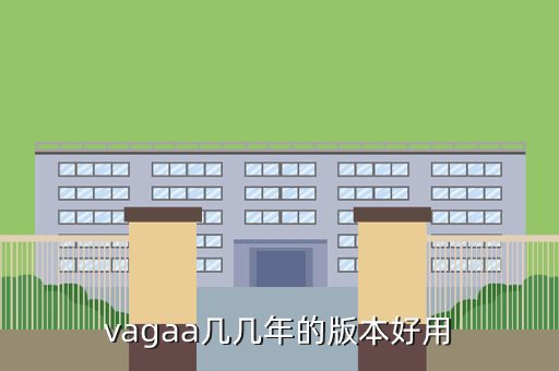 vagaa几几年的版本好用