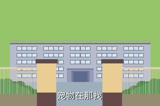 宠物在那找