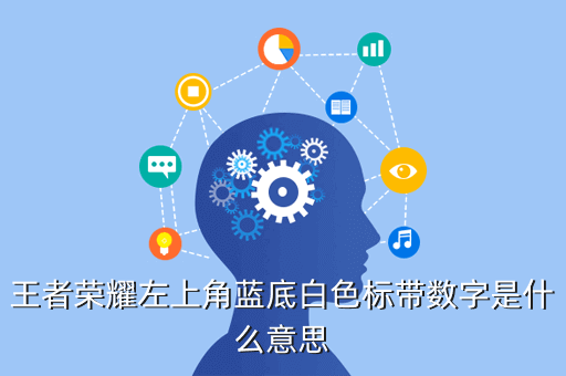 王者荣耀左上角蓝底白色标带数字是什么意思
