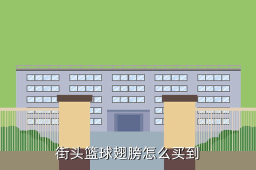 街头篮球翅膀怎么买到
