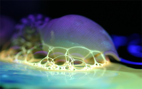 金铲铲之战S9.5恕瑞玛沙皇阵容怎么搭配 金铲铲之战S9.5恕瑞玛沙皇搭配方法